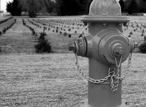 电话短信轰在线轰炸免费